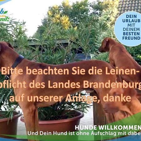 Jagd-Angler-Holzhaus-Im-Wald-Am-See Villa คือริทซ์ ภายนอก รูปภาพ