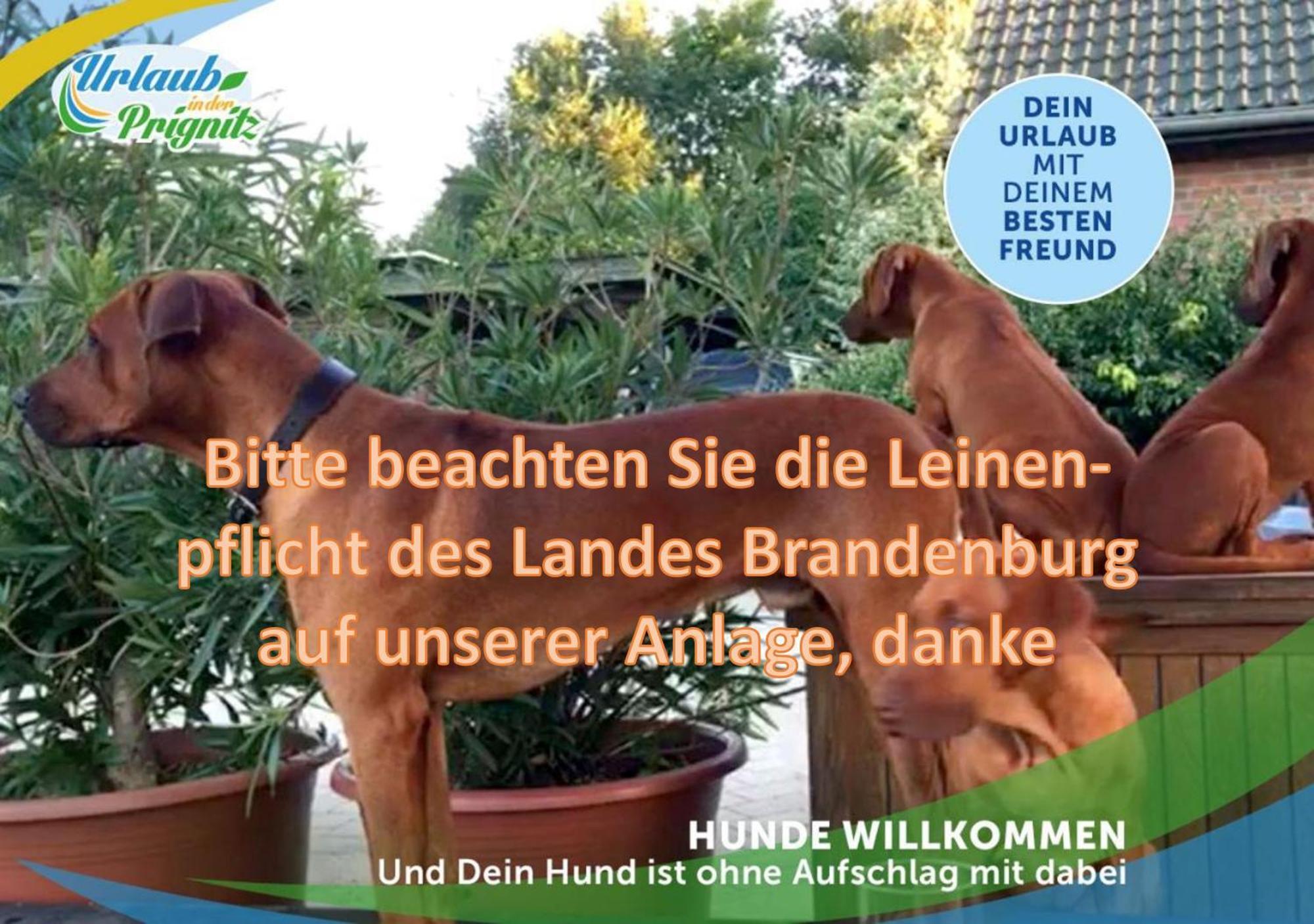 Jagd-Angler-Holzhaus-Im-Wald-Am-See Villa คือริทซ์ ภายนอก รูปภาพ